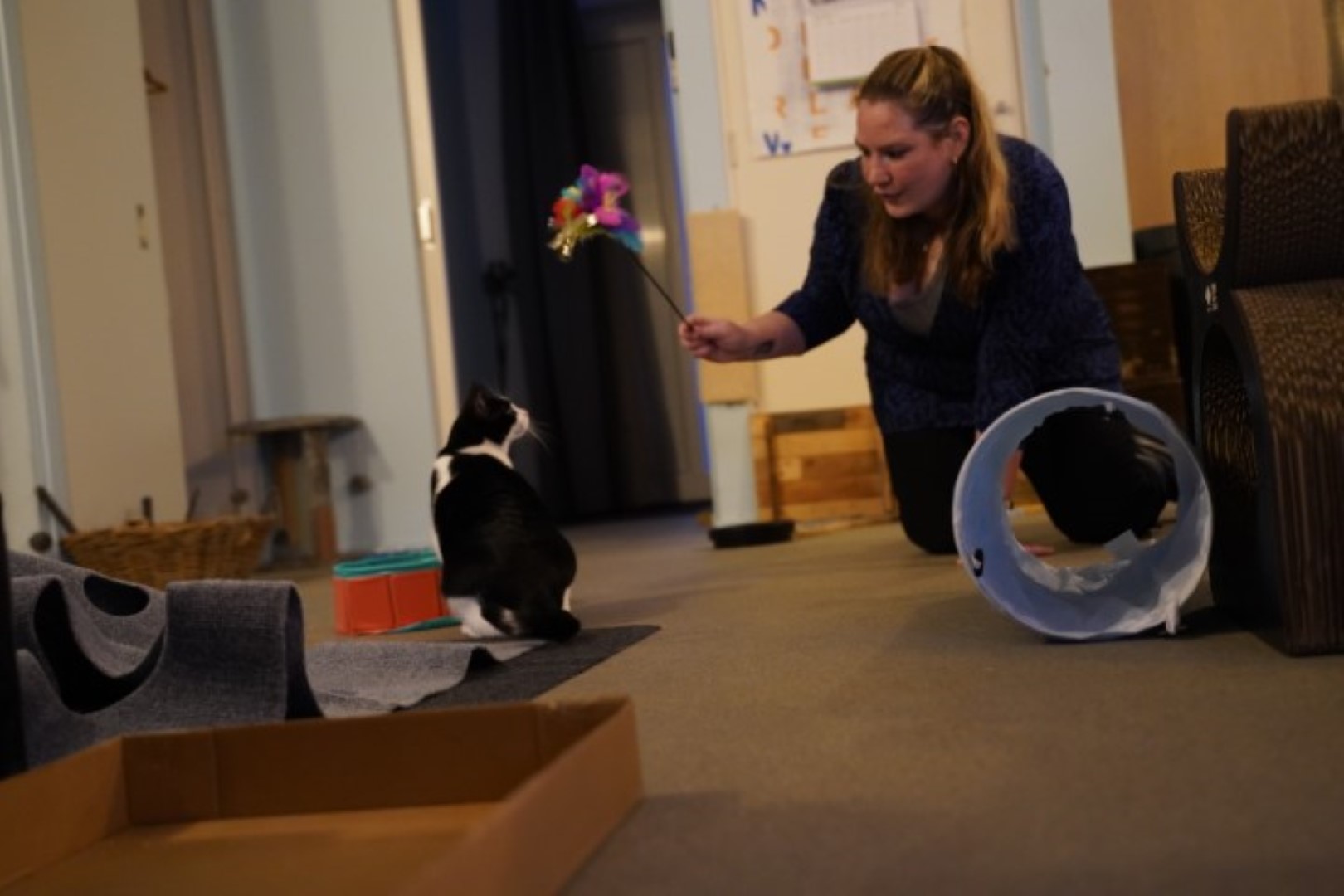 MM Miauw - spelen met plumeau