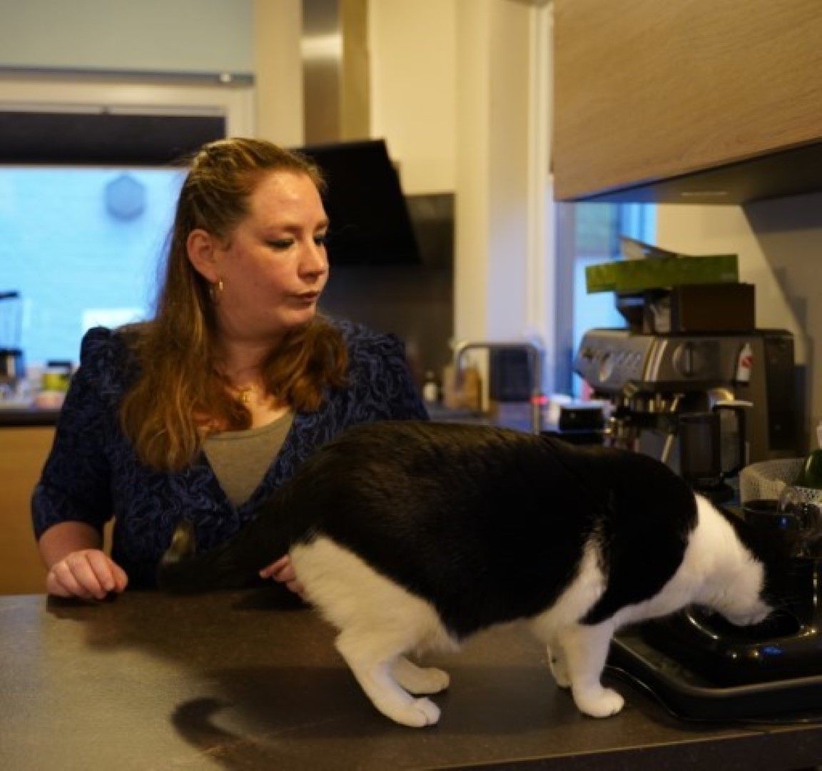 MM Miauw -waterfontein op bar