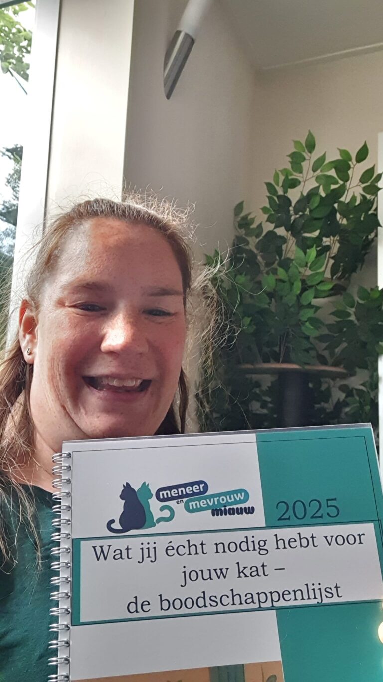 WhatsApp Image 2025-05-23 at 19.01.47